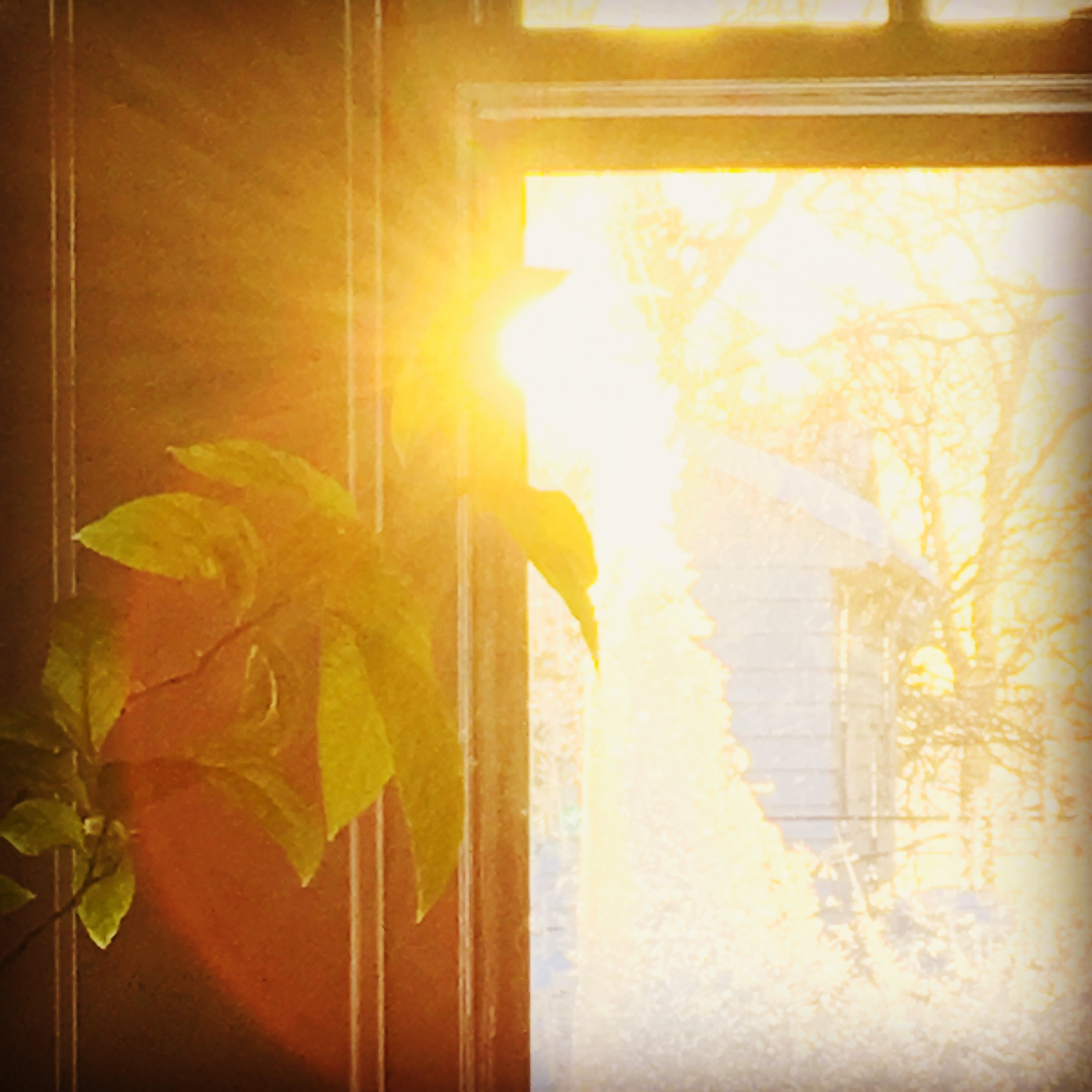 window with sun shining in
