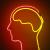 brain