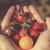 Cherry tomatoes