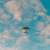 plane in the sky
