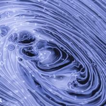 Consciousness Is Just a Feeling - Vimarsana News