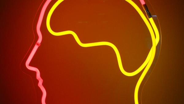 brain