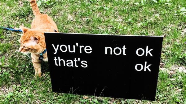 "you're not ok that's ok" yard sign