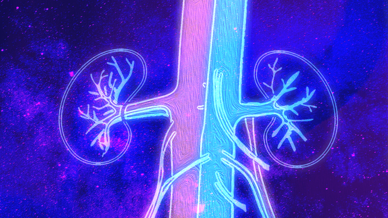 Photo Illustration by Mark Riechers. Galactic kidneys