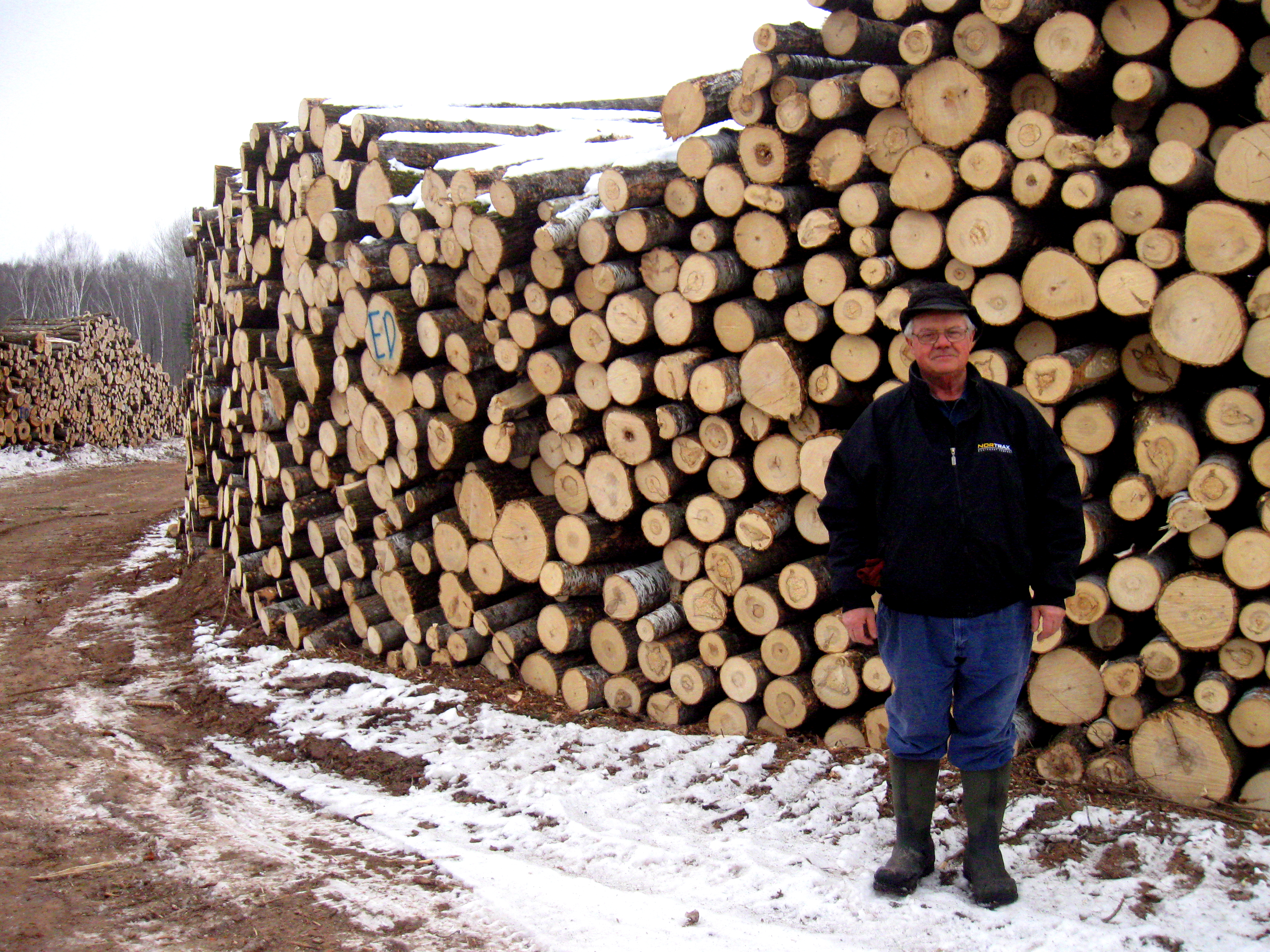 Loggers Demand Access To More Land As Costs Of Harvesting Timber Soar |  Wisconsin Public Radio