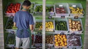 Wisconsin redistricting enters new phase, Prescribing produce for treatment of disease