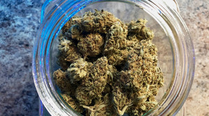 New Republican bill could legalize medical marijuana, Study finds low-income mothers support credit system