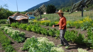 Man at organic farm