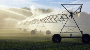 Read full article: Groundwater Quality A Cause For Concern For Some Wisconsin Voters