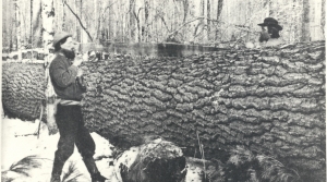 A History Of Lumberjacks, Log Drives, And Sawdust Cities In Wisconsin