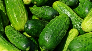 Garden Talk: The Vicars Of Vegetables