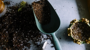Garden Talk: Fall Gardening