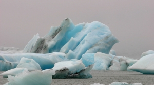 Weather Guys: Evidence Of Climate Change