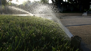 Read full article: Altoona Urges Residents To Restrict Water Usage As City Nears Pumping Capacity