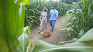 Treinen Farm Treinen Farm Wisconsin Public Radio