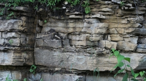 Geology Rocks!