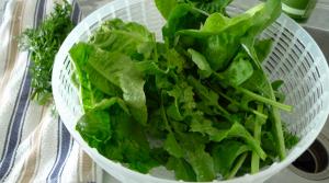Ingre Nts 3 Cups Arugula Leaves 3 5 Garlic Cloves Sliced 1 C2 Bd Oz Walnuts 2 Tbsp Freshly Grated Parmesan Cheese C2 Bc Cup Olive Oil Salt And Freshly Ground Ingre Nts 3 Cups Arugula Leaves 3 5 Garlic Cloves Sliced 1 C2 Bd Oz Walnuts 2 Tbsp Freshly Grated Parmesan Cheese C2 Bc Cup Olive Oil Salt And Freshly Ground
