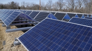 panels in a solar garden