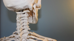 Physical Therapy: Osteoporosis