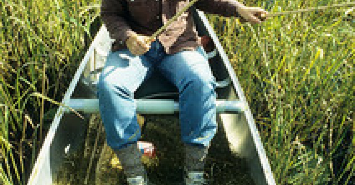 Wild Rice Cultivation and Harvest in Wisconsin Wisconsin Public Radio