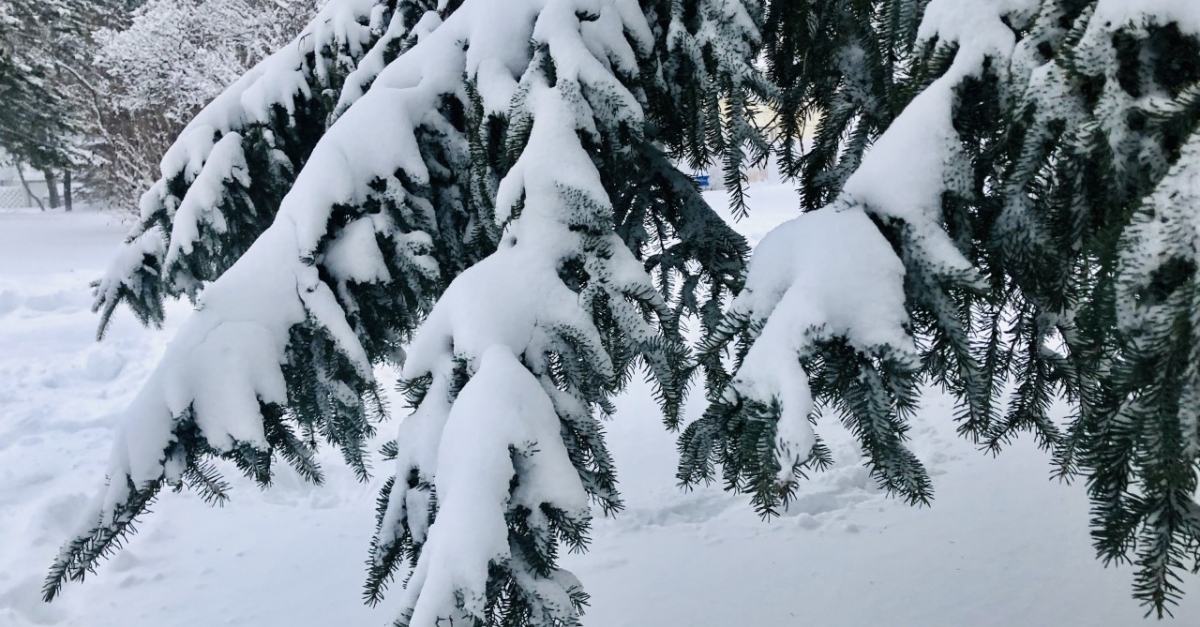 Northern Wisconsin Socked With Up To 13 Inches Of Snow Wisconsin