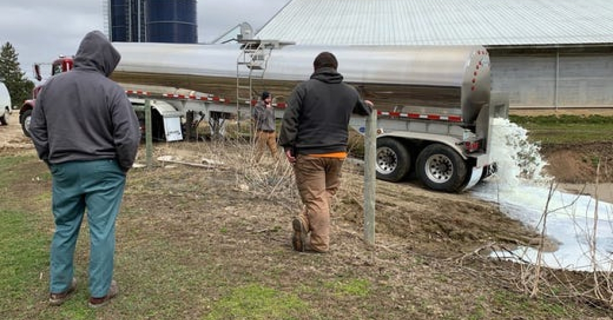 Dairy Farmer Required To Dump Milk For Over A Month Wisconsin Public