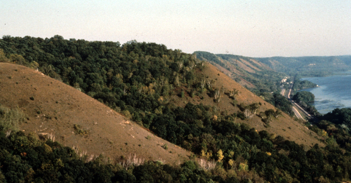 Wisconsin natural areas that adapt to climate change - Wisconsin Public Radio