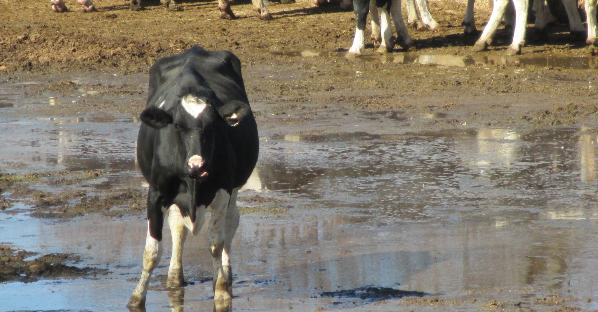 DNR Ignoring Its Own Water Pollution Rules, State Audit Finds