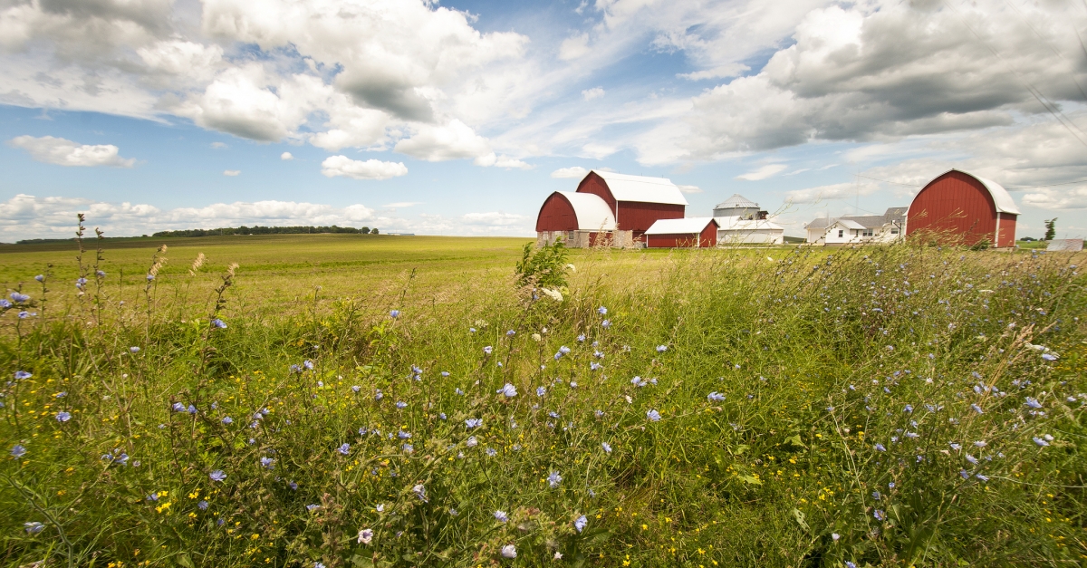 Majority Of New Farmers In Wisconsin Are FirstGeneration, State Finds