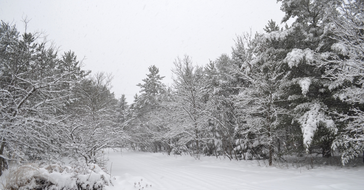 Northern Wisconsin Residents Dig Out As Snow Continues To Fall