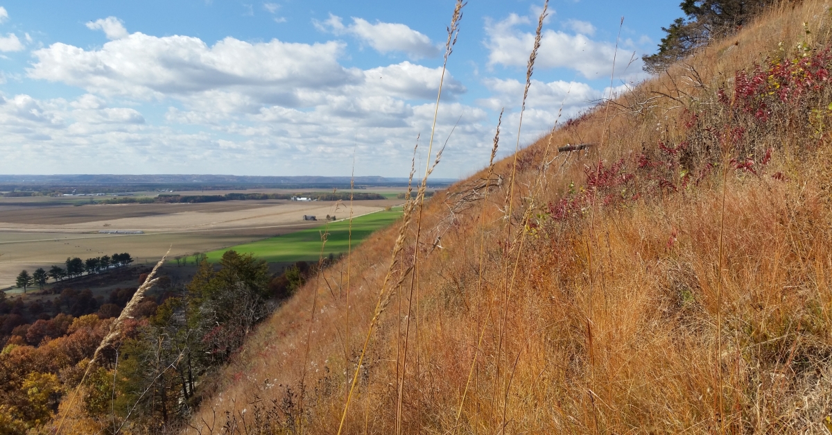 Believe It Or Not, A Slice Of DesertLike Environment Thrives In