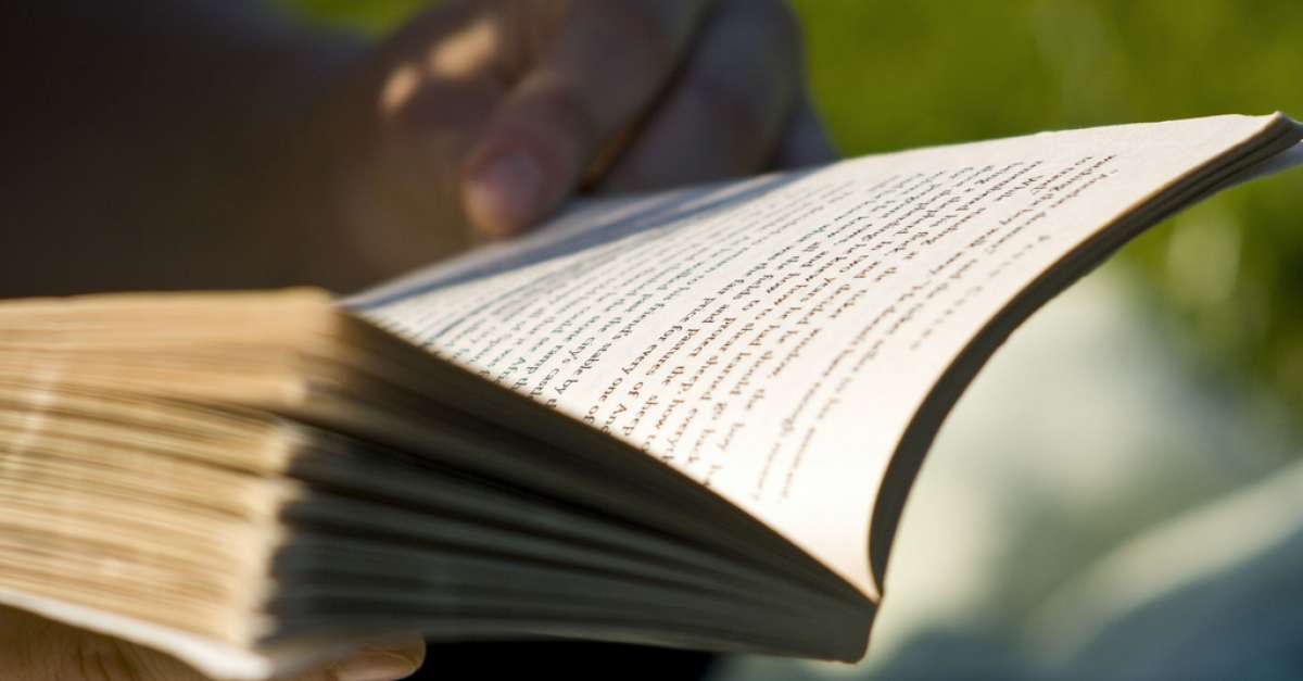 Image result for reading a book