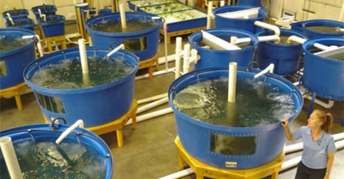 may-14-2015-aquaponics-innovation-center-wisconsin-public-radio