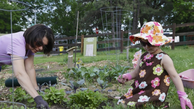 how to weed a garden cutters how to not spend hours weeding in the garden talk weed control wisconsin public radio how to weed a garden cutters how to not spend hours weeding in the garden talk weed control wisconsin public radio