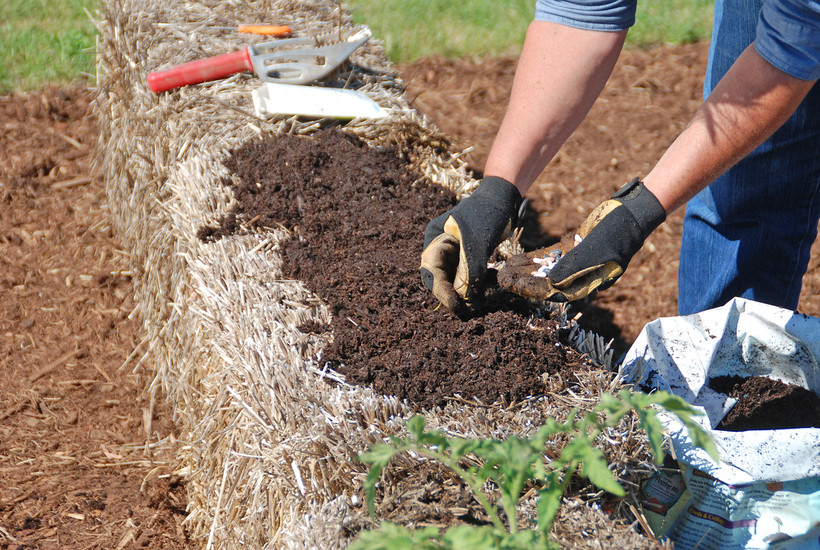 Straw Bale Gardening 101 Wisconsin Public Radio
