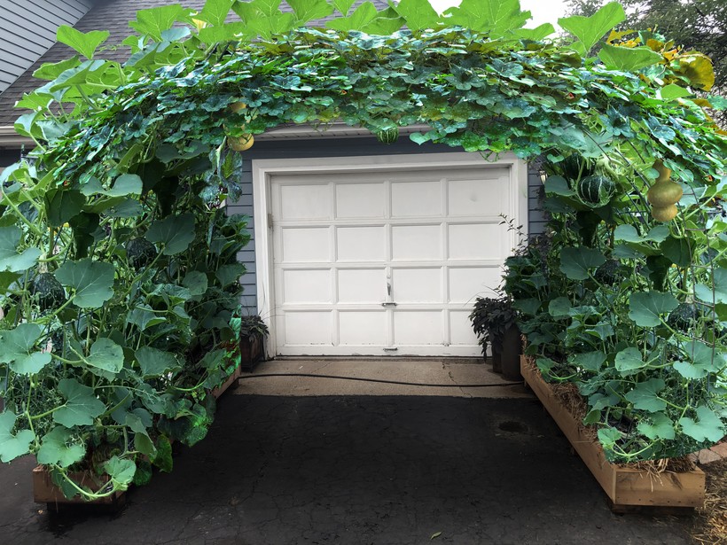 Tips For Starting A Straw Bale Garden Wisconsin Public Radio