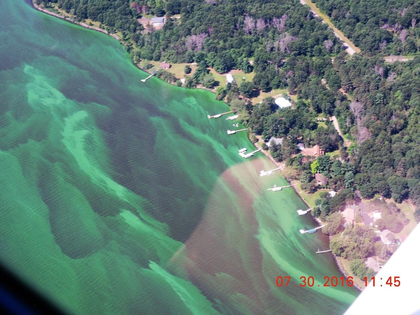 BlueGreen Algae Conditions Improve on Some Central Wisconsin Lakes
