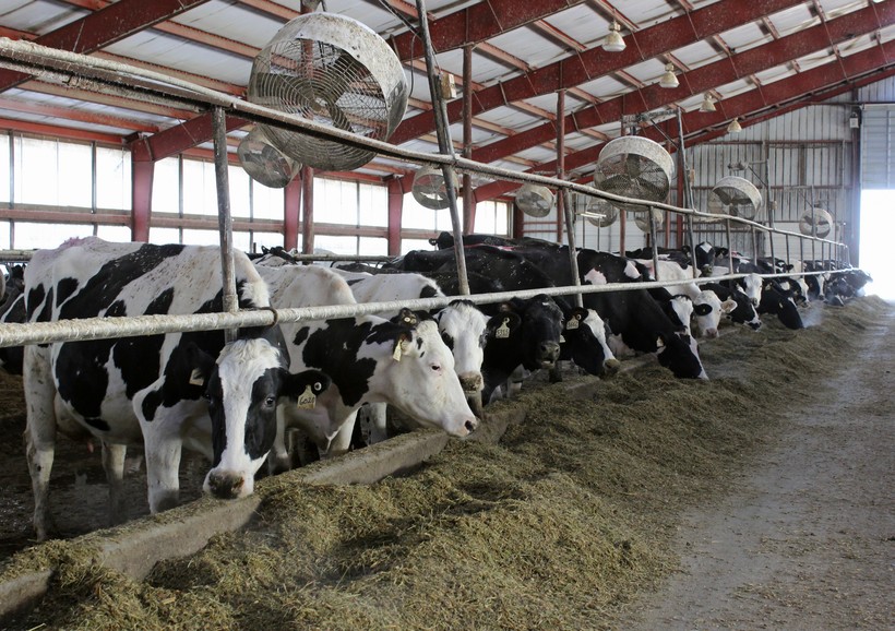 State Rolls Out New Loan Terms For Dairy Industry Wisconsin Public Radio