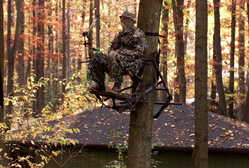 UW Study Falls From Tree Stands Most Likely To Result In Spinal