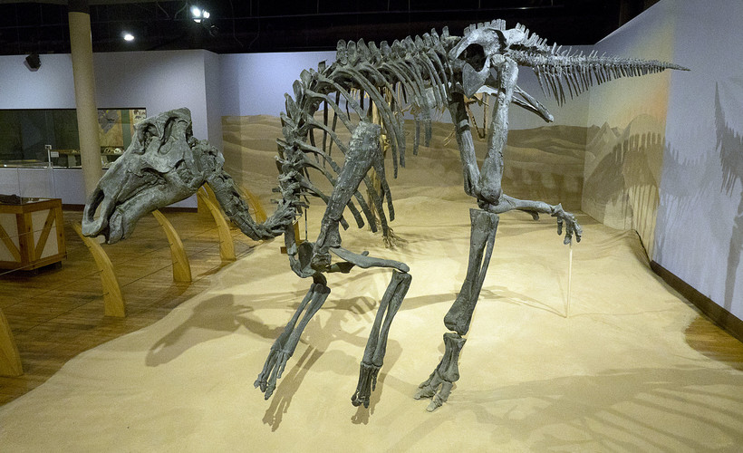 Research Shows All Dinosaurs Could Regulate Their Own Body Temperatures