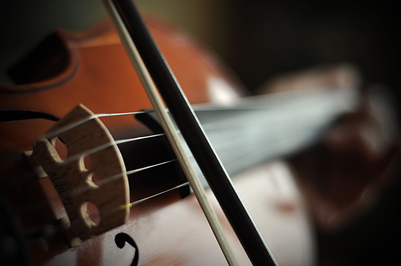 violin
