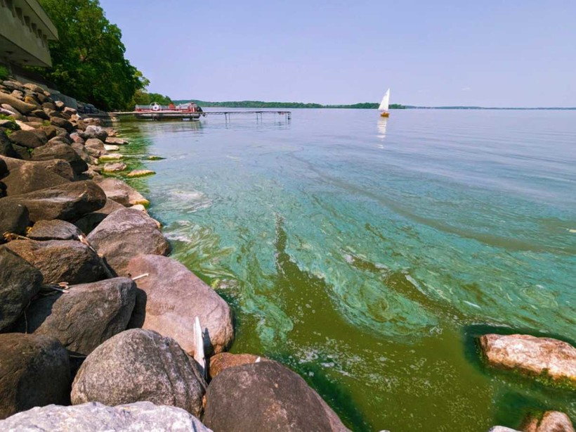 Earlier spring algae blooms tied to tiny invasive species, UWMadison