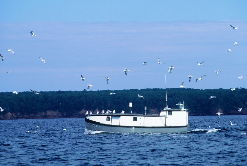 State Commercial Fishers Buck DNR's Proposed Limits On Cisco Harvests