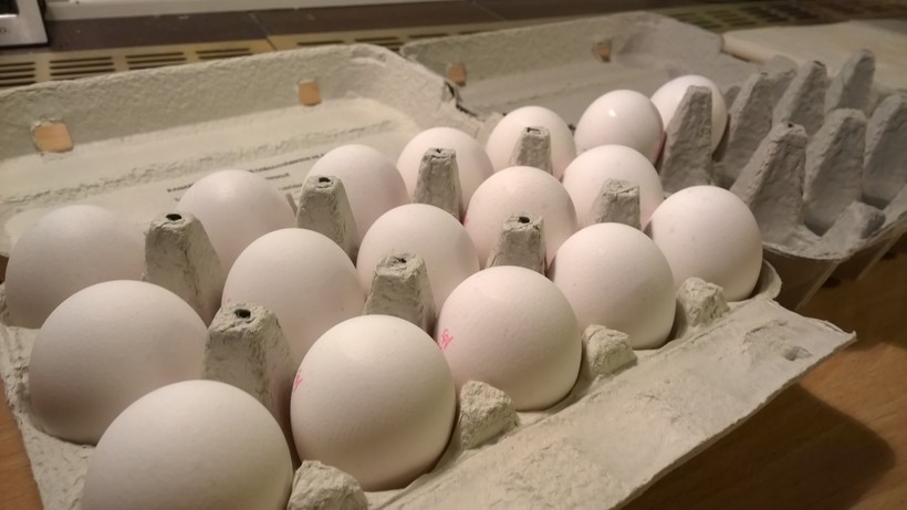 Bird Flu Outbreak Exposed Biosecurity Lapses, Says Egg ...