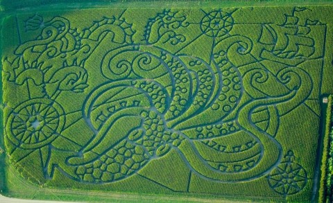 hidden wisconsin corn maze owners wisconsin public radio