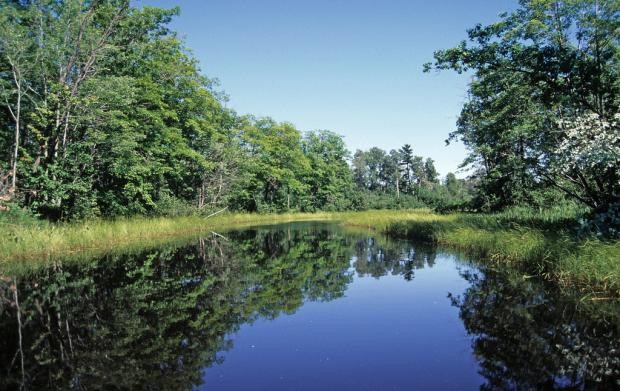 Bad River, Photo: Wisconsin DNR (CC-BY-ND).