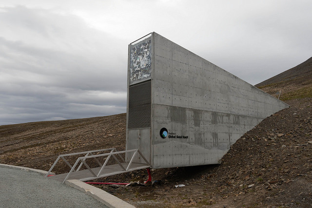 A Wisconsin Scientist Studies The Global Seed Bank Wisconsin Public Radio