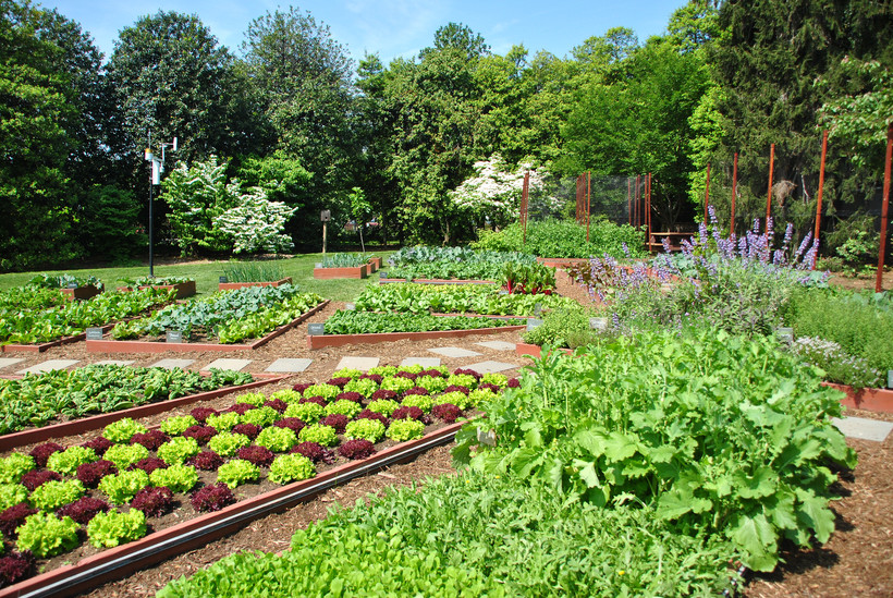 It S Never Too Early To Start Planning Your Kitchen Garden Wisconsin Public Radio
