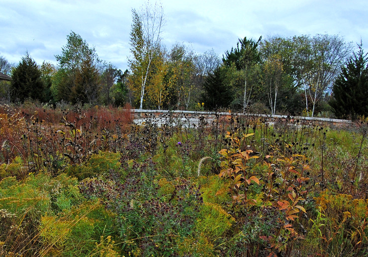 Fall Prairie Seeding Wisconsin Public Radio