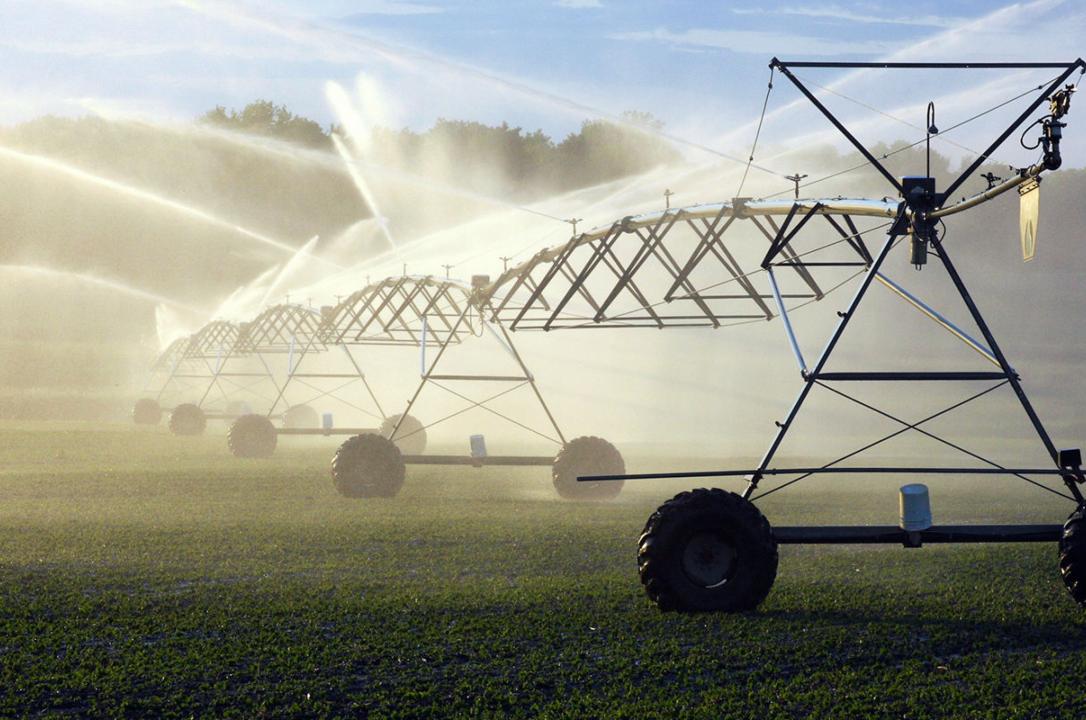 irrigation